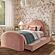 Moon Rose Upcycled Chenille Twin Trundle Bed by TOV Furniture