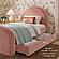 Moon Rose Upcycled Chenille Twin Trundle Bed by TOV Furniture