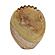 Saava Mantis Stone Vase in Sandstone by TOV Furniture