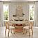 Amara Natural Rattan Arched Back Dining Chair by TOV Furniture