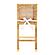 Amara Rattan Counter Stool by TOV Furniture