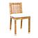 Amara Rattan Dining Chair by TOV Furniture