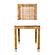 Amara Rattan Dining Chair by TOV Furniture