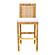 Amara Rattan Bar Stool by TOV Furniture