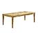 Brandyss Natural Burl Rectangular Dining Table by TOV Furniture