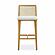 Gerri Performance Tweed and Rattan Counter Stool by TOV Furniture