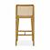 Gerri Performance Tweed and Rattan Counter Stool by TOV Furniture