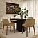 Foxy Honey Textured Performance Fabric Dining Chair by TOV Furniture