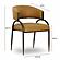 Tatum Tan Performance Vegan Leather Dining Chair by TOV Furniture