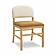 Calla Cognac Performance Velvet Dining Chair by TOV Furniture