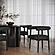 Spara Black Vegan Leather Dining Chair by TOV Furniture