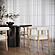 Spara White Vegan Leather Dining Chair by TOV Furniture
