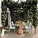 Nancy Mint Green & Cream Outdoor Dining Chair by TOV Furniture