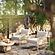 Dunes Cream Outdoor Armchair by TOV Furniture