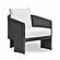 Alexa Black Rattan Performance Fabric Outdoor Armchair by TOV Furniture