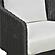 Alexa Black Rattan Performance Fabric Outdoor Armchair by TOV Furniture