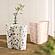 Slab Black & White Riverbed Terrazzo Indoor/Outdoor Side Table by TOV Furniture