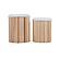 Sagano White Nesting Storage Ottomans - Set of 2 by TOV Furniture