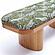 Ollie Olive Green Leopard Jacquard Bench by TOV Furniture