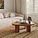 Oani Walnut and Glass Triangular Coffee Table by TOV Furniture