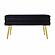 Ziva Black Velvet Storage Bench by TOV Furniture