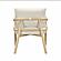 Dixie Cream Chenille Velvet Accent Chair by TOV Furniture