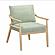 Dixie Mint Green Chenille Velvet Accent Chair by TOV Furniture