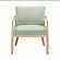 Dixie Mint Green Chenille Velvet Accent Chair by TOV Furniture