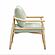 Dixie Mint Green Chenille Velvet Accent Chair by TOV Furniture