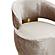 Austin Champagne Chair by TOV Furniture