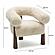 Spara Natural Straight Vegan Shearling Accent Chair by TOV Furniture