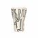 Velma 'Bashful' Ceramic Glasses - Set of 4 by TOV Furniture