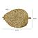 Leaf Natural Seagrass Placemat - Set of 4 by TOV Furniture