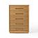 Nova Domus Santa Barbara - Modern Natural Chest by VIG Furniture