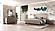 Modrest Charlene Modern Grey Elm and Stainless Steel Bedroom Set by VIG Furniture