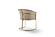 Modrest Renfew - Modern Beige Vegan Leather + Champagne Gold Dining Chair by VIG Furniture