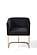 Modrest Yukon Modern Black Velvet & Gold Dining Chair by VIG Furniture