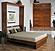 Dale Vertical Queen Wall Bed by Wallbeds