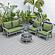 Walbrooke Modern Grey Patio Conversation With Round Fire Pit With Slats Design & Tank Holder, Green by LeisureMod