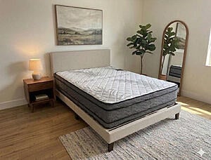 2550 Firm Double Sided Euro Top Mattress by Dream Well