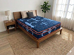 Eclipse Plush Single Sided Euro Top Mattress by Dream Well
