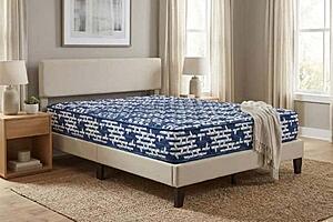 Comfy Dark 12" Rolled Foam Mattress by Dream Well