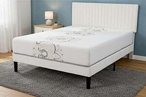 Cozy 12" Rolled Foam Mattress by Dream Well