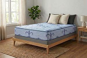 Crescent 10" Rolled Foam Mattress by Dream Well