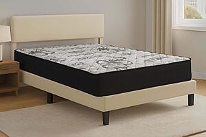 Softey GS 11" Rolled Foam Mattress by Dream Well