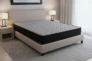 Dynasty Single Sided Tight Top Mattress by Dream Well
