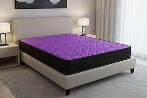 Purple Teddy Single Sided Tight Top Mattress by Dream Well