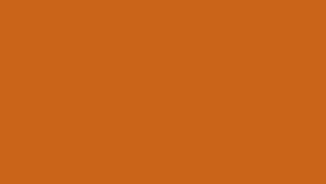 Bethany Twin Platform Bed - Orange by Homelegance