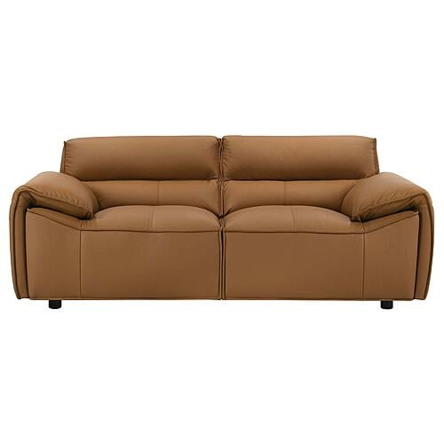 Buxton Top Grain Leather Upholstered Loveseat - Orange by Coaster