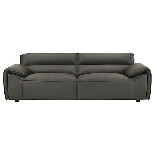 Buxton Top Grain Leather Upholstered Sofa - Graphite by Coaster